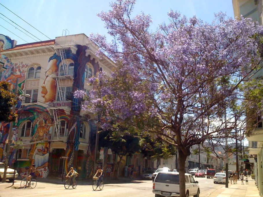 Studio Zero, San Francisco